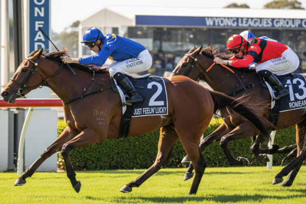 A dramatic photo of two racehorses, Just Feelin' Lucky (number 2) and Romeand (number 13), in a photo finish at Wyong Racecourse.