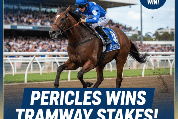 A dynamic image of racehorse Pericles, with a jockey in blue and white silks, galloping powerfully on a dirt track at Randwick Racecourse.